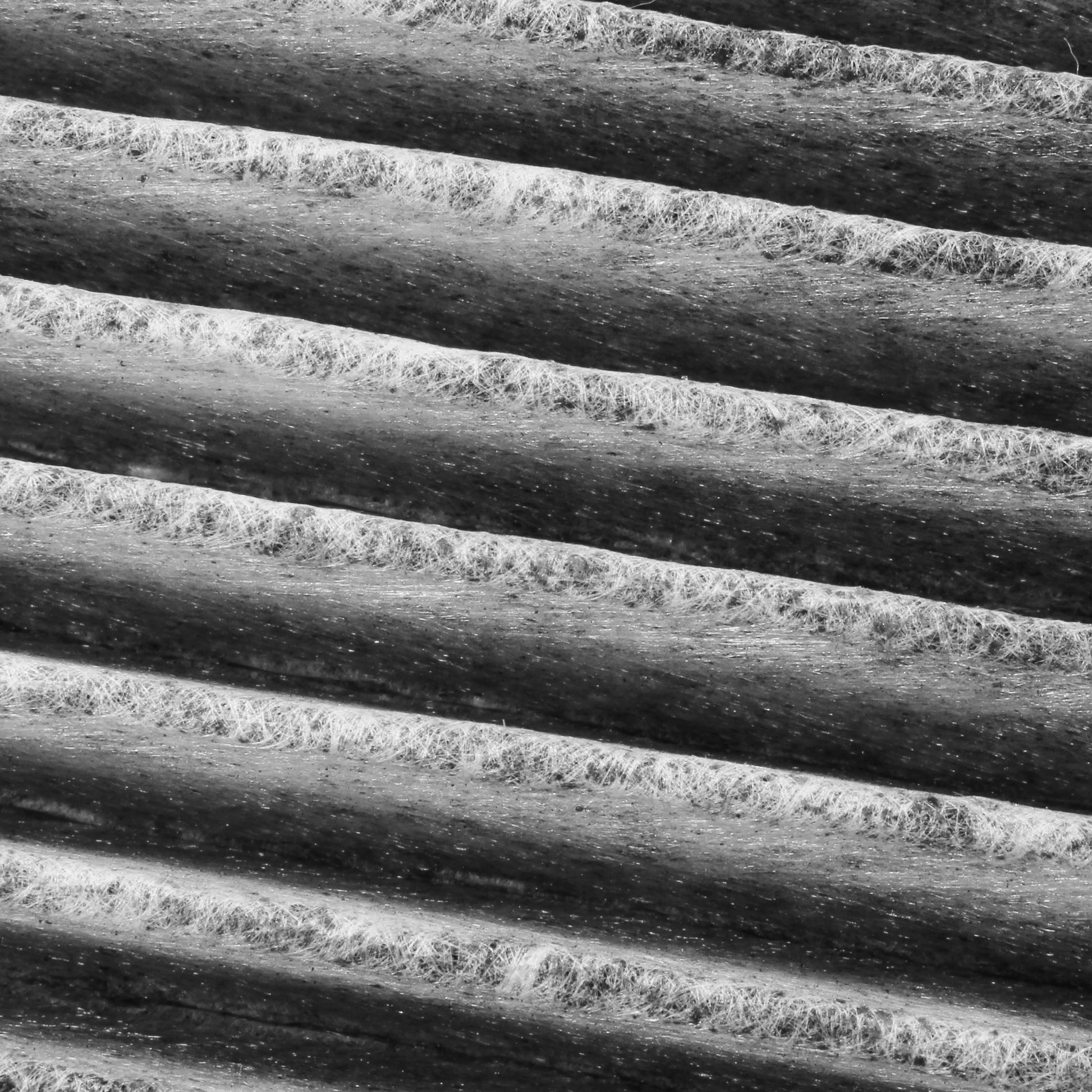 Photo of AQ1184C