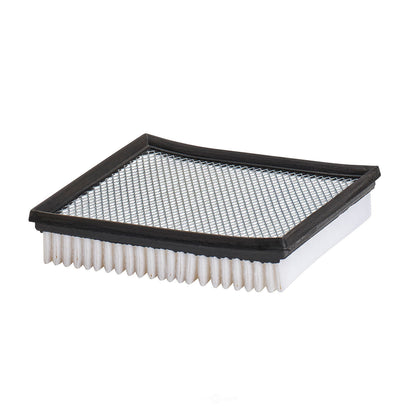 Engine Air Filter Purolator TA36151